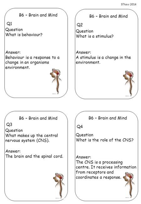 Question What is behaviour? B6 – Brain and Mind Q1 Answer: Behaviour is a response to a change in an organisms environment. Question What is a stimulus?