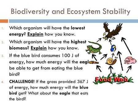Biodiversity and Ecosystem Stability 1. Which organism will have the lowest energy? Explain how you know. 2. Which organism will have the highest biomass?