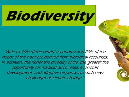 Biodiversity “At least 40% of the world’s economy and 80% of the needs of the poor are derived from biological resources. In addition, the richer the diversity.
