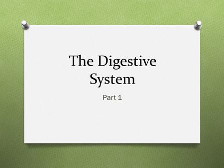 The Digestive System Part 1. How is Food Digested? O Digestion involves: O Breaking down of food into smaller pieces O The mixing of food O Movement through.