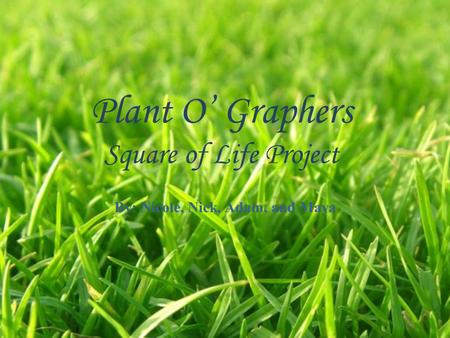 Plant O’ Graphers Square of Life Project By: Nicole, Nick, Adam, and Maya.