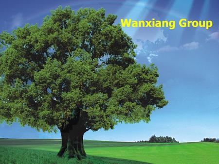 Wanxiang Group.