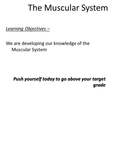 The Muscular System Learning Objectives – We are developing our knowledge of the Muscular System Push yourself today to go above your target grade.