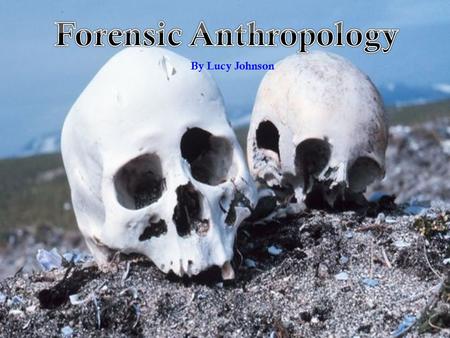 Forensic Anthropology By Lucy Johnson. Forensic Anthropology “Forensic anthropology is the examination of human skeletal remains for law enforcement agencies.