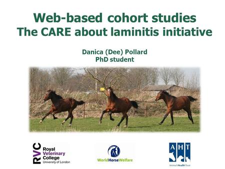 Web-based cohort studies The CARE about laminitis initiative Danica (Dee) Pollard PhD student.