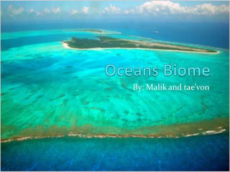 By: Malik and tae’von. Biome The oceans hold the largest holds the largest of Earth’s biomes. It covers 70% of the planet’s surface. Sunlight breaks through.