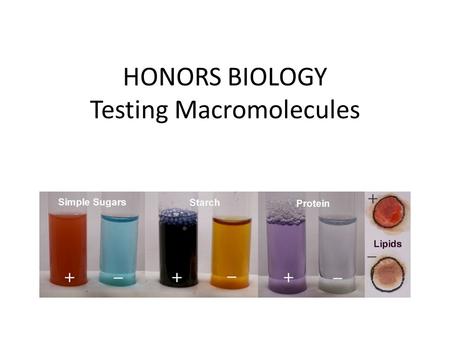 HONORS BIOLOGY Testing Macromolecules
