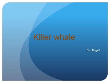 Killer whale BY: Abigail ORCAS O RCAS are very interesting animals. That is why I chose to do a report on them. I think that the way they act and figure.