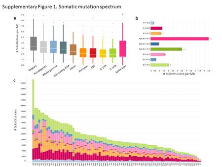 Supplementary Figure 1. Somatic mutation spectrum # Substitutions # Substitutions per Mb b c a Repeats Pseudogenes Whole genome Splice sites Non-coding.