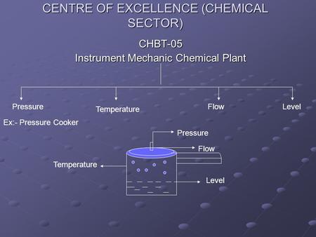 CENTRE OF EXCELLENCE (CHEMICAL SECTOR)