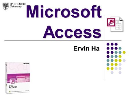Microsoft Access Ervin Ha.