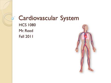 Cardiovascular System HCS 1080 Mr. Reed Fall 2011.