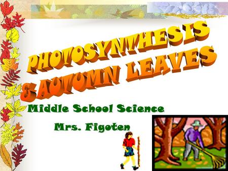Middle School Science Mrs. Figoten Mrs. Figoten DO LEAVES ON TREES IN ALL BIOMES CHANGE COLOR? Leaves change color seasonally only in deciduous forests.