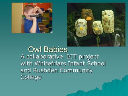 Owl Babies Owl Babies A collaborative ICT project with Whitefriars Infant School and Rushden Community College.