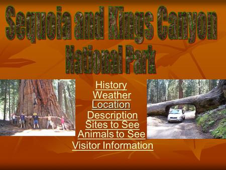 Location Description History Visitor Information Sites to See Animals to See Weather.