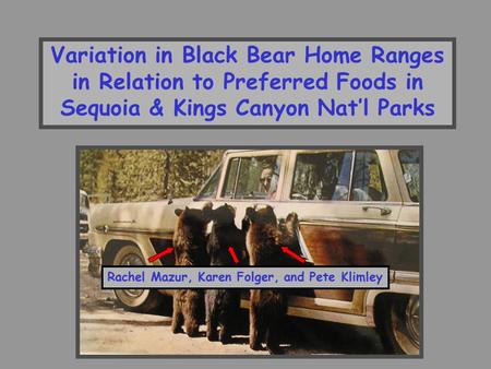 Variation in Black Bear Home Ranges in Relation to Preferred Foods in Sequoia & Kings Canyon Nat’l Parks Rachel Mazur, Karen Folger, and Pete Klimley.