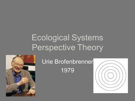 Ecological Systems Perspective Theory