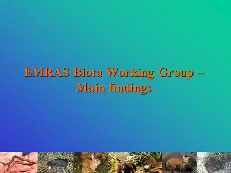 EMRAS Biota Working Group – Main findings. IAEA EMRAS Biota Working Group Regular participants: Belgium - SCK·CEN; Canada – AECL; France – IRSN; Japan.