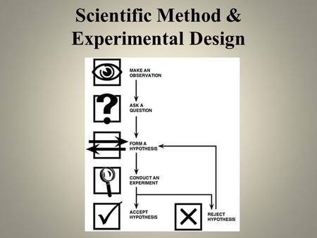 Scientific Method & Experimental Design. 1. Make broad observations about your topic (Introduction) Begin by asking questions about your topic: Why? How.