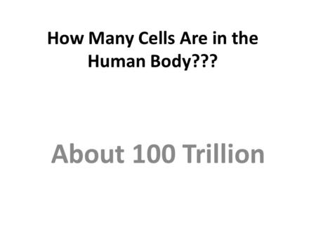How Many Cells Are in the Human Body???