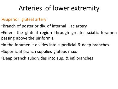 Arteries of lower extremity