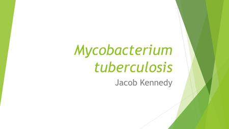 Mycobacterium tuberculosis Jacob Kennedy. Tuberculosis is a bacterial disease.