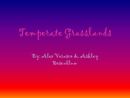 Temperate Grasslands By: Alex Verasco & Ashley Rosenblum.