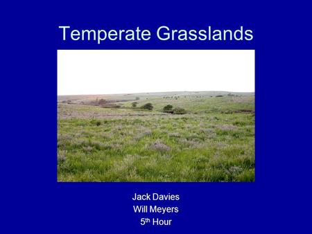 Temperate Grasslands Jack Davies Will Meyers 5 th Hour.