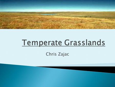 Chris Zajac.  North America- prairies of the Great Plains ◦ Extend from southern Canada to Gulf of Mexico  Eurasia  South America  Africa.