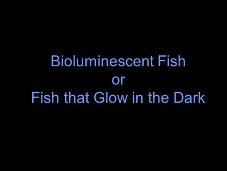Bioluminescent Fish or Fish that Glow in the Dark.