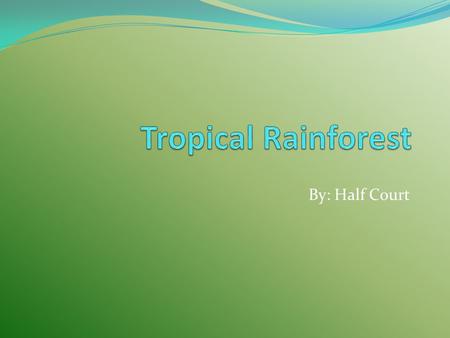 Tropical Rainforest By: Half Court.
