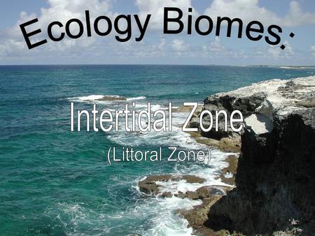 Biome Located at the junction of the atmosphere, hydrosphere, and lithosphere Zone between high tide and low tide where an abundance of marine life thrives.