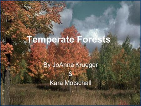 Temperate Forests By JoAnna Krueger & Kara Motschall.