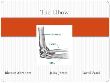 The Elbow Blessen Abraham		 Jainy James		Naved Patel.