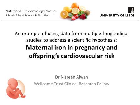 An example of using data from multiple longitudinal studies to address a scientific hypothesis: Maternal iron in pregnancy and offspring’s cardiovascular.