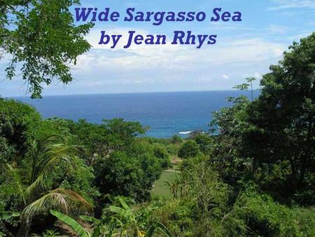Wide Sargasso Sea by Jean Rhys. Author's background  Wide Sargasso Sea was written in 1966 by a Dominica born author Jean Rhys.  She was born in 1894.