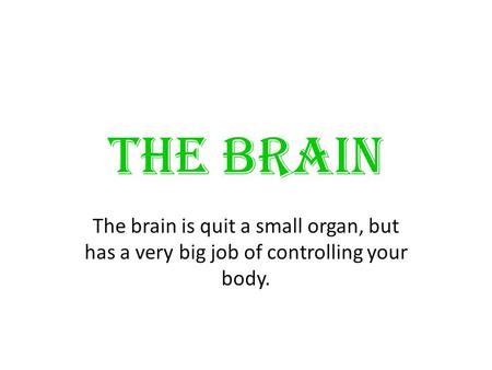 THE BRAIN The brain is quit a small organ, but has a very big job of controlling your body.