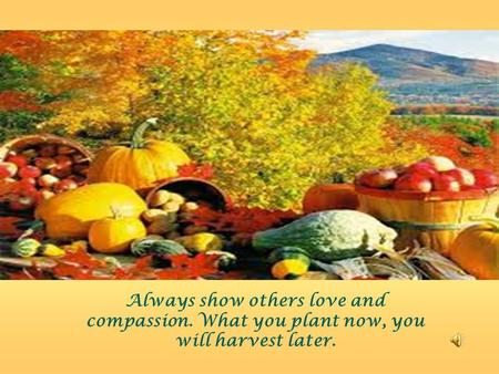 Always show others love and compassion. What you plant now, you will harvest later.