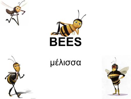 BEES μέλισσα. Bees live in colonies. Each colony contains between 15.000 and 60.000 bees…