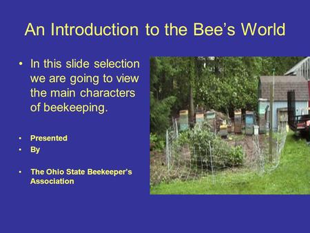 An Introduction to the Bee’s World In this slide selection we are going to view the main characters of beekeeping. Presented By The Ohio State Beekeeper’s.