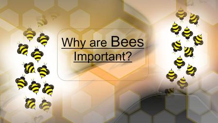 Why are Bees Important?.  What’s been changing outside?  Warm weather  Flowers blooming  More bugs  Allergies? It’s Spring !