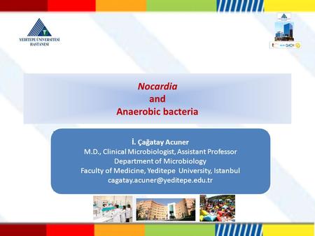 Nocardia and Anaerobic bacteria