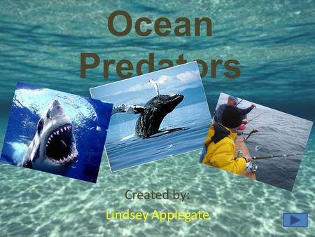 Ocean Predators Created by: Lindsey Applegate. Audience 5-6 th graders. Middle Class- Suburban Community School. Best for visual type learners. Great.