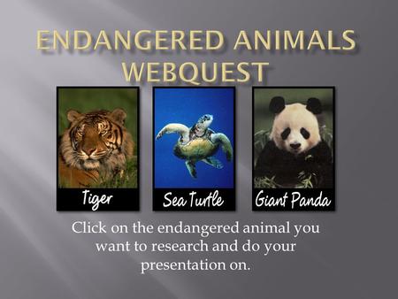 Click on the endangered animal you want to research and do your presentation on.