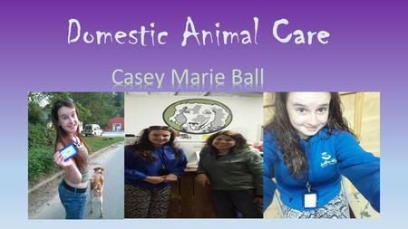 Domestic Animal Care. ~Animal abuse comes in many different types. Such as animal testing, illegal dog fighting and unintentional neglect. All of these.