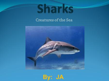 By: JA. Introduction The scientific name for Great White Shark is Carcharodon Carchias. Is it endangered? Yes it is. They live for about 20-30 years but.