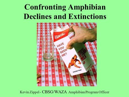 Confronting Amphibian Declines and Extinctions Kevin Zippel - CBSG/WAZA Amphibian Program Officer.