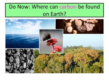 Do Now: Where can carbon be found on Earth?. Fossil Fuels: Coal, Natual Gas, Oil Shells of Marine Organisms: Calcium Carbonate Cells of Living Organisms.