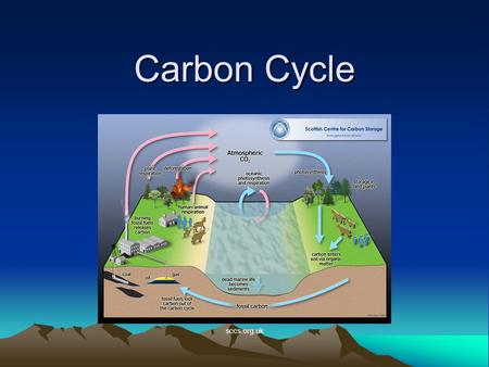 Carbon Cycle sccs.org.uk. D19 Explain how chemical and physical processes cause carbon to cycle through the major earth reservoirs.