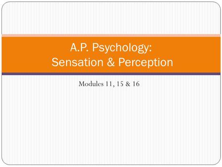 Modules 11, 15 & 16 A.P. Psychology: Sensation & Perception.